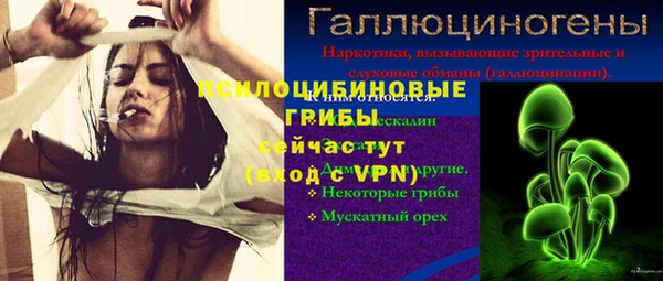 герыч Пересвет