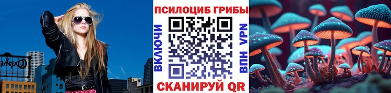 магазин продажи наркотиков Светлоград Галлюциногенные грибы мухоморы